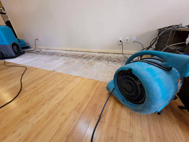 Professional Water Extraction technician working in Jonesboro, IL